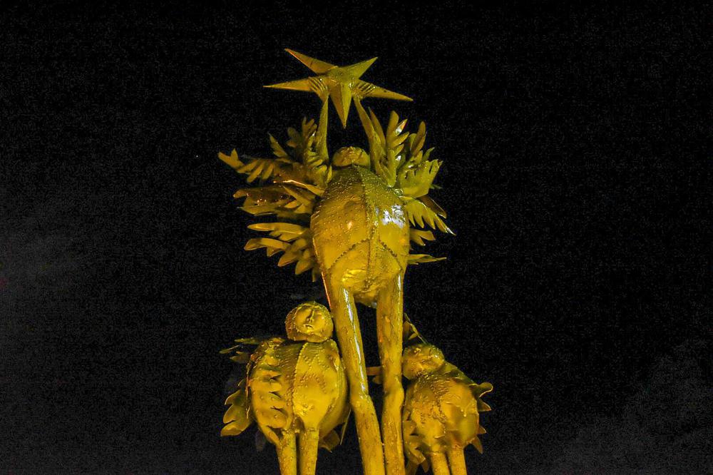 125767633_3845545108811324_8707217149530469600_o