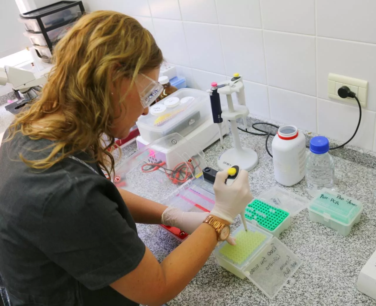 140691_img-20221011-wa0032