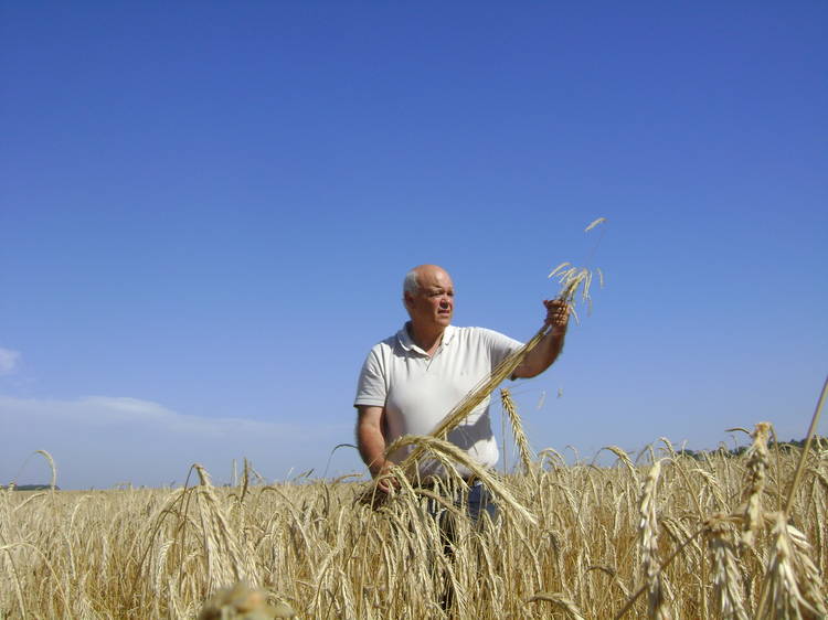 Gracias-Garnero-sembrado-invernal-proteger_CLAIMA20131227_0207_14