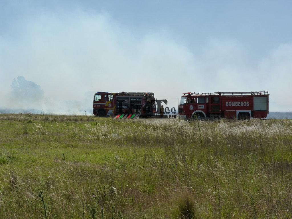 P1320399 (FILEminimizer)