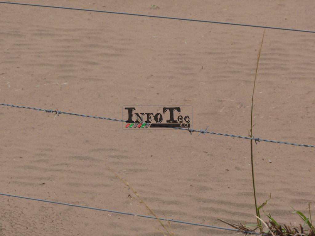 P1320071 (FILEminimizer)