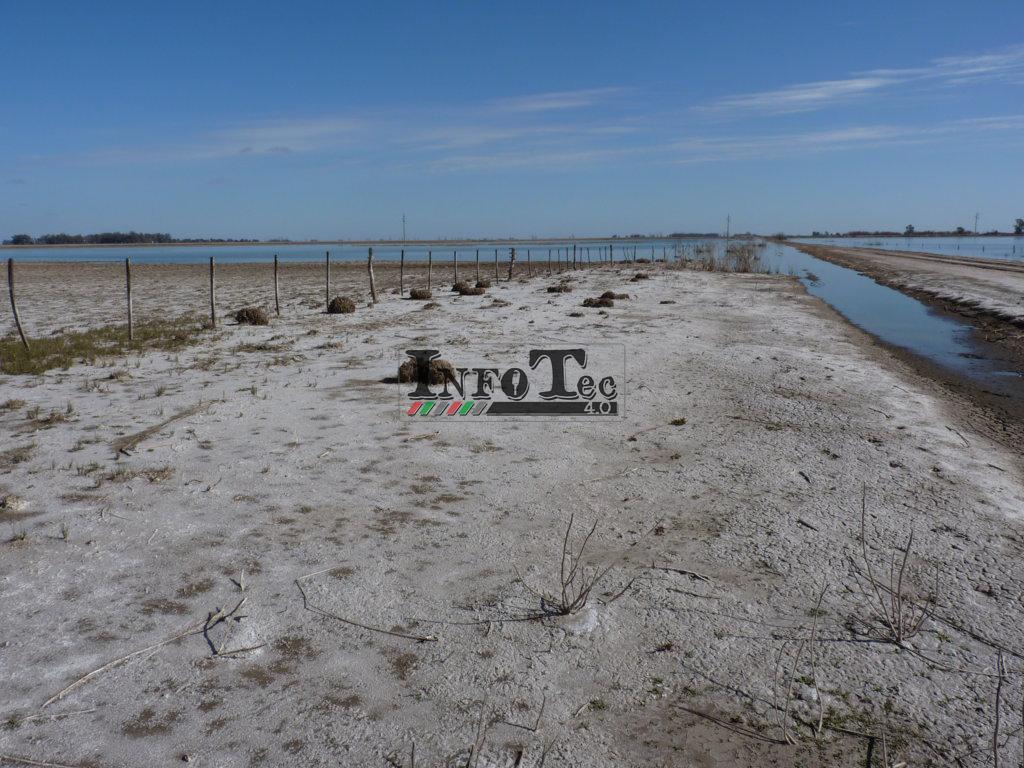 P1230523 (FILEminimizer)