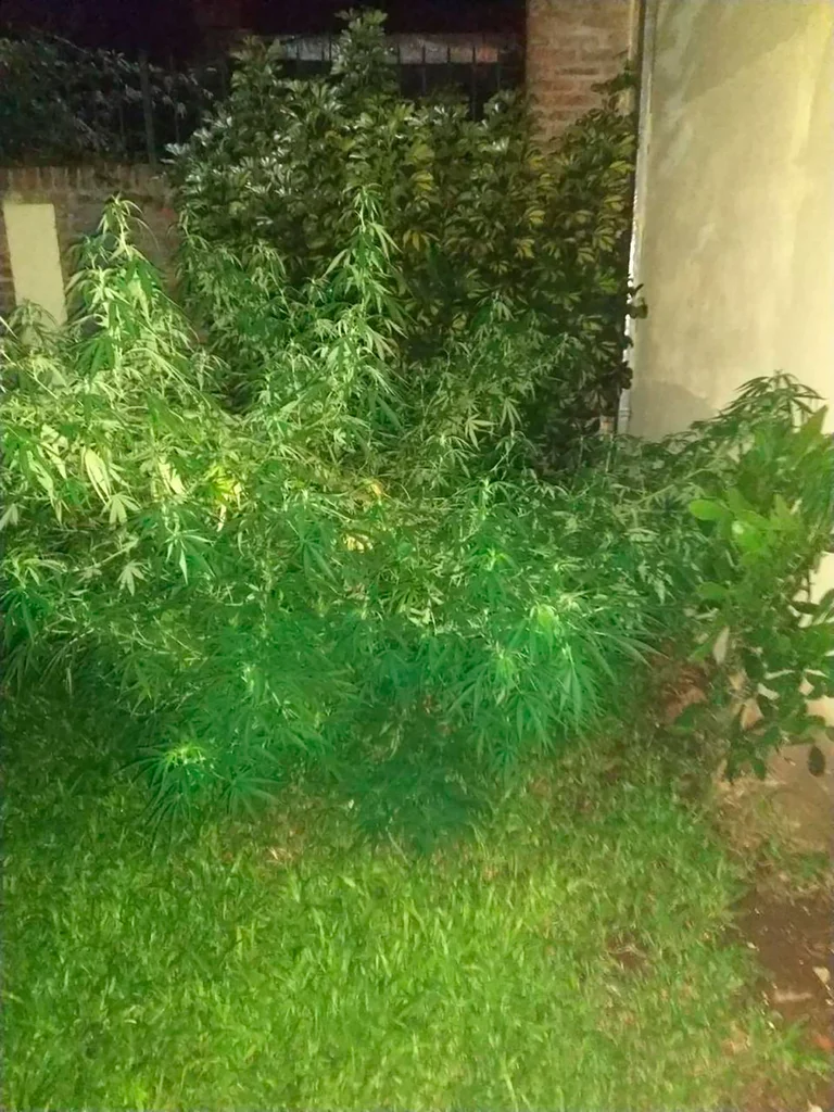 ELDJWPZ66FCSLFGCFW7MM2MZVA