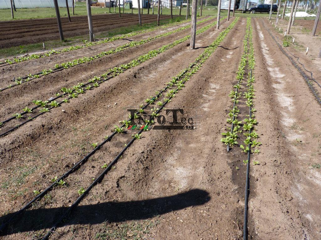 P1280319 (FILEminimizer)