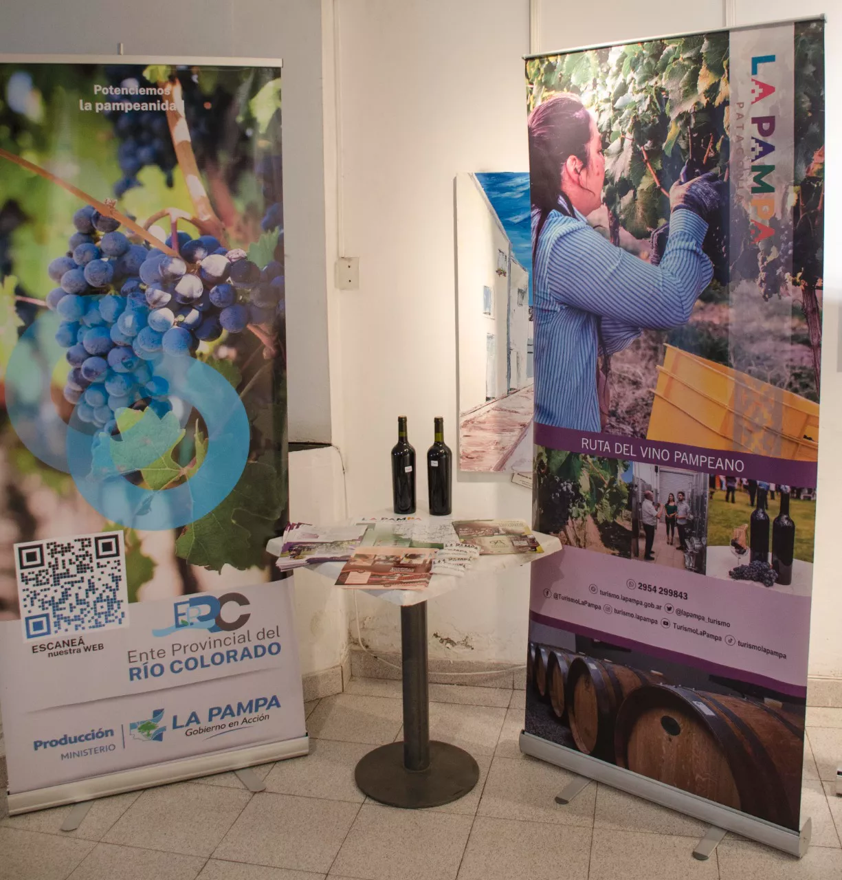 408585_whatsapp-image-2022-06-08-at-7.50.57-am--1-