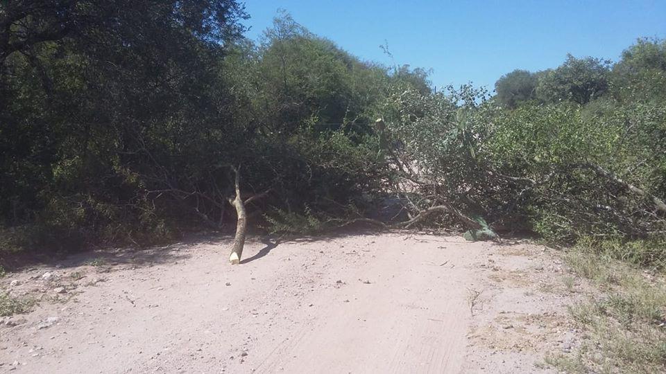 90432199_2653819851412201_5949915450388250624_o