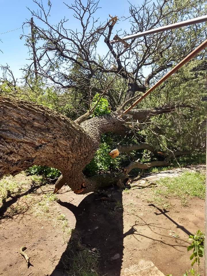 FB_IMG_1546189663331