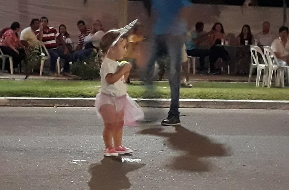 51984848_2301236156554710_6325154326289317888_n