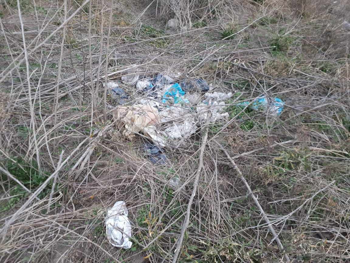 dcd7baf1-84c9-462d-b1f5-12622c1f8680