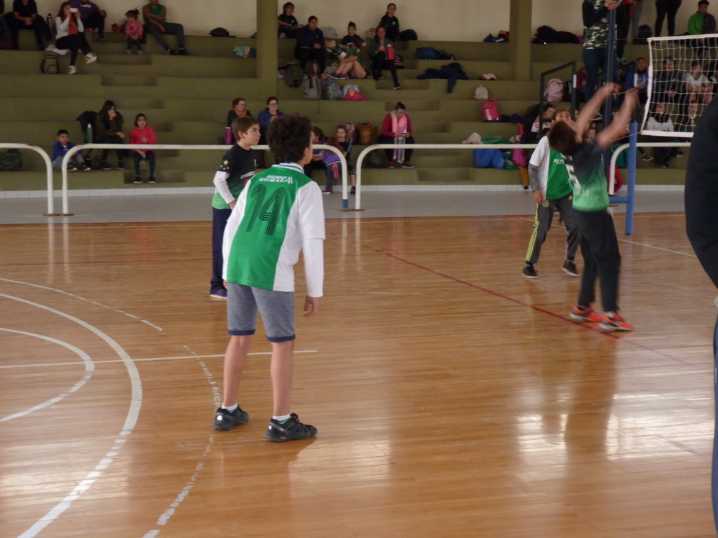 P1380008 (FILEminimizer)