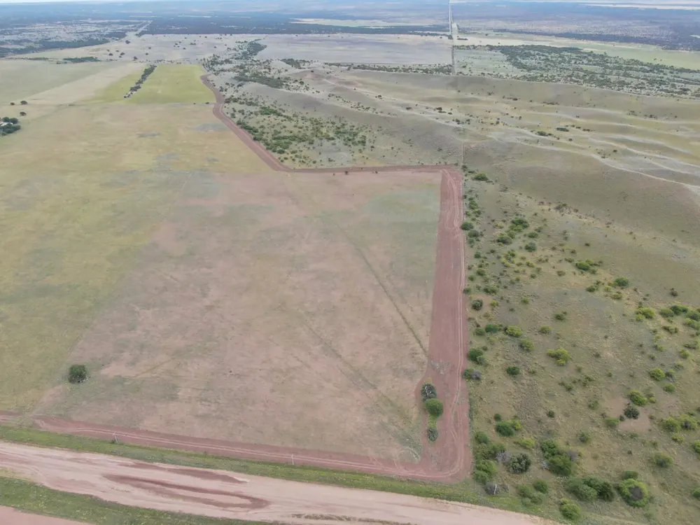 229318_whatsapp-image-2023-10-03-at-08.42.05