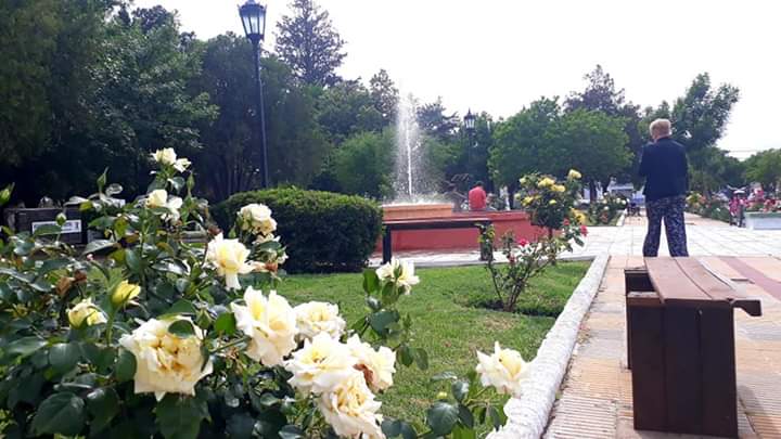 FB_IMG_1573260537065