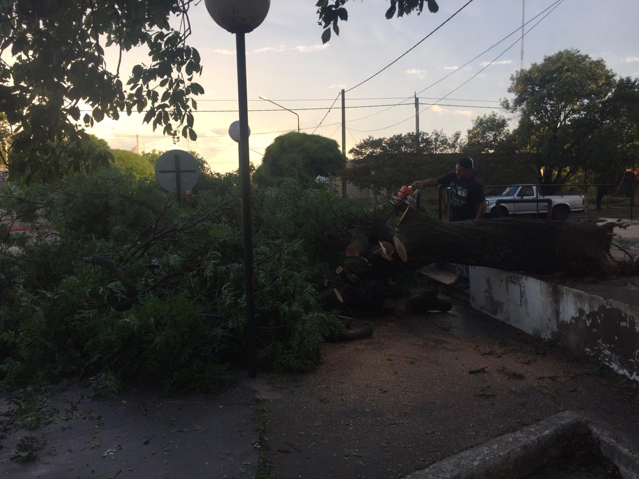 1db1c7f6-ec1c-48c1-80f5-f4bd65de444d