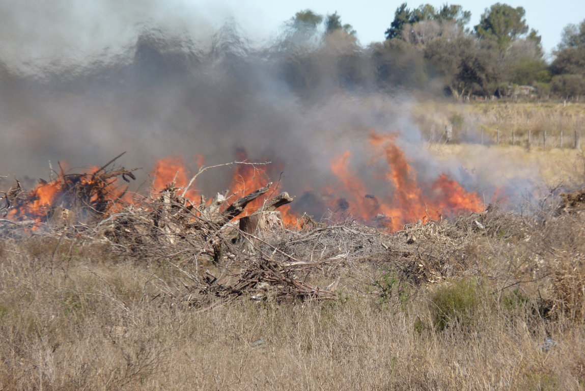 P1380303 (FILEminimizer)