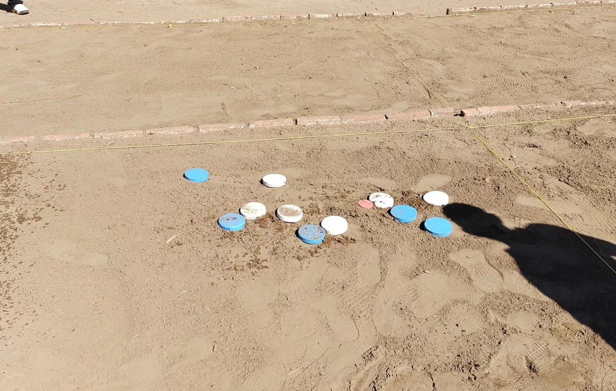 tejo 7 (FILEminimizer)