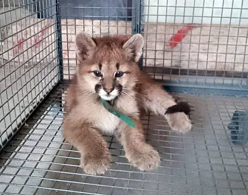 305626295_1223879378390211_8600052123894578115_n