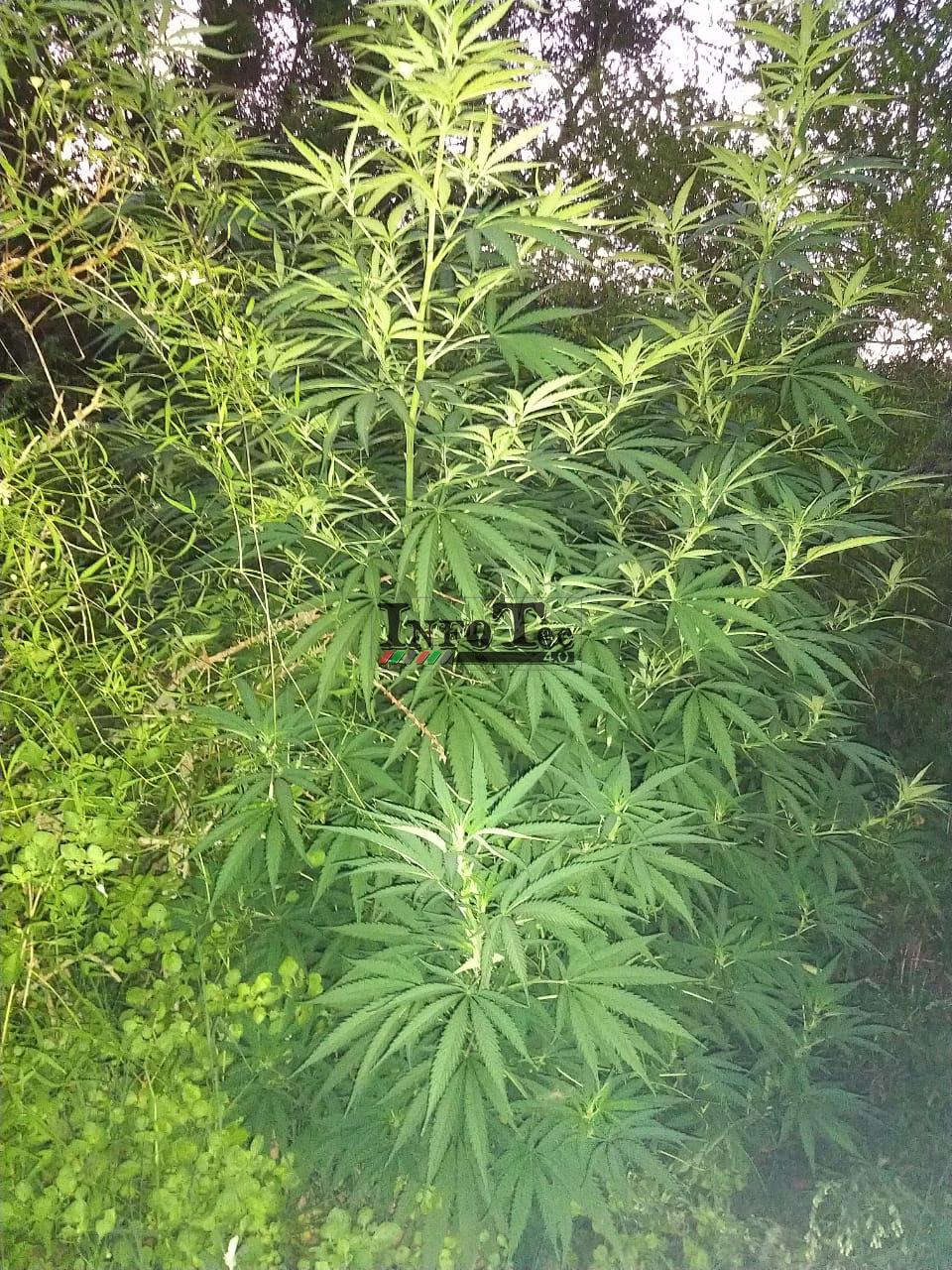 64823688-eb14-473b-8c80-c7471b96aedf