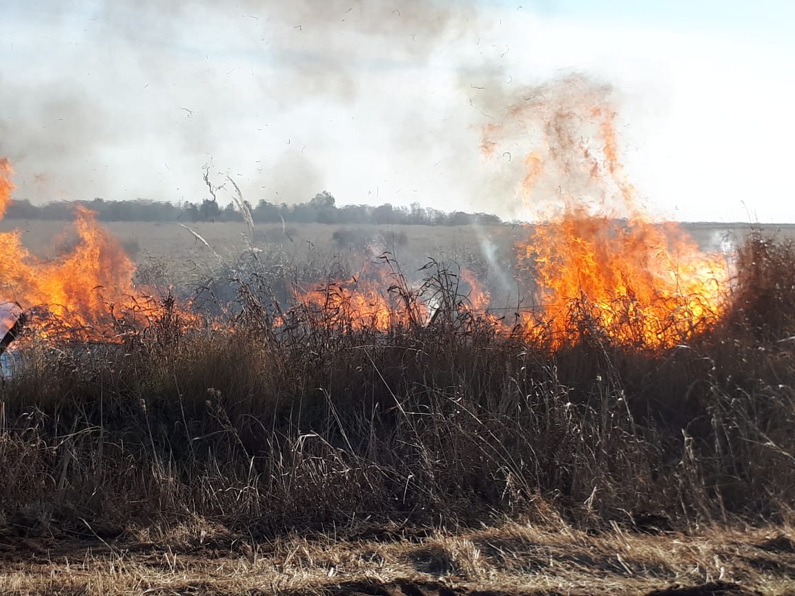 2a44d492-ce05-473c-a32c-69f5fe1ea22c