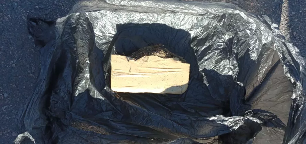 147001_whatsapp-image-2021-12-06-at-09.37.08--1-