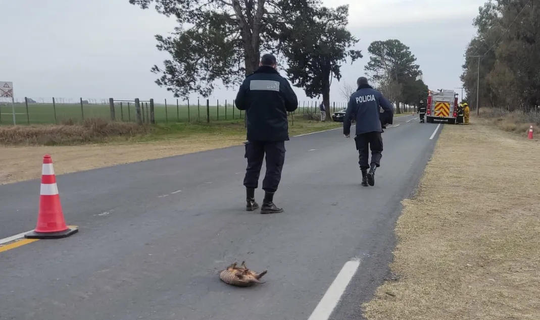 d9f90b4a-7f0b-4abb-9734-b5094669ec40