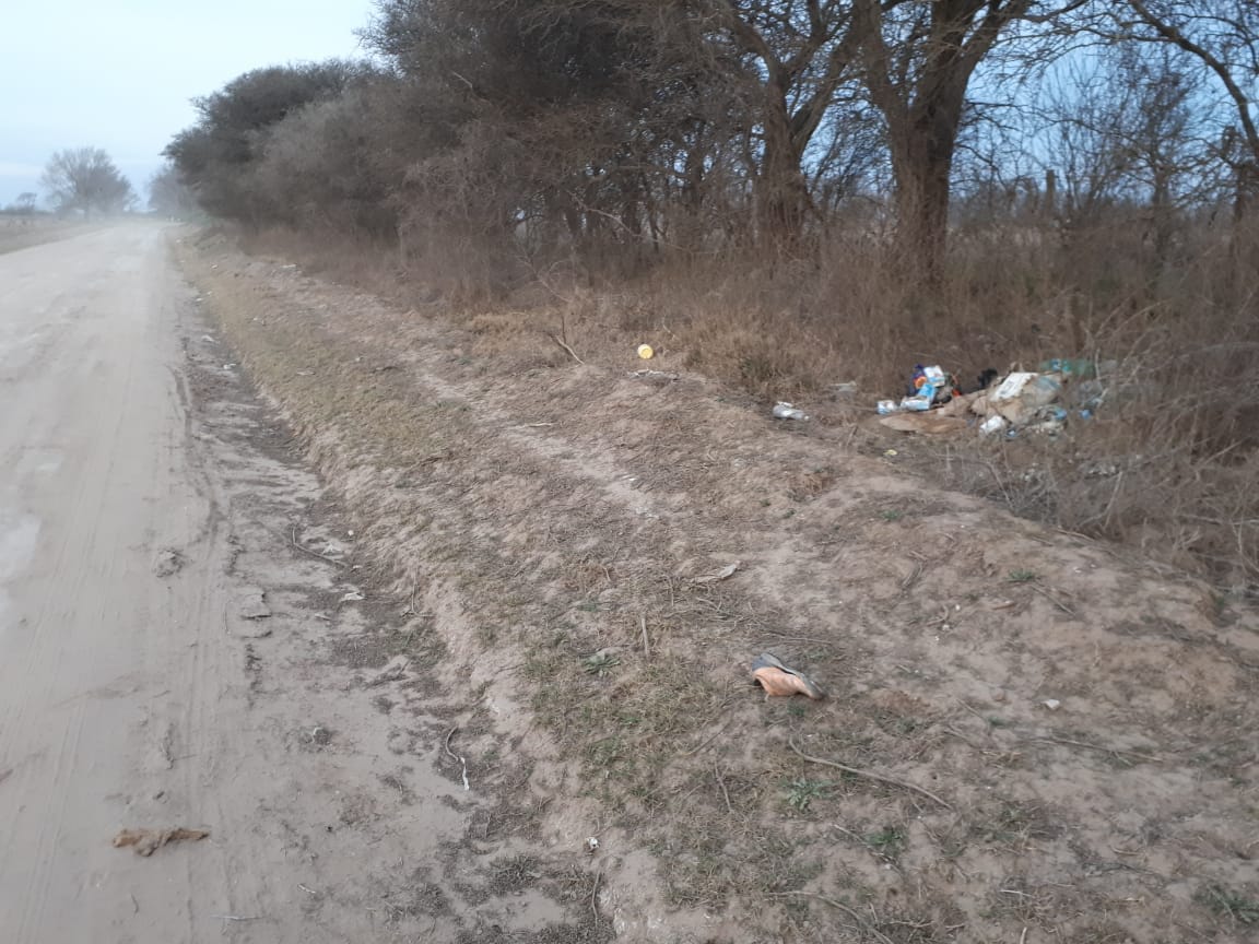 0bde1a5a-c29e-41c0-bc77-66e2460ba380