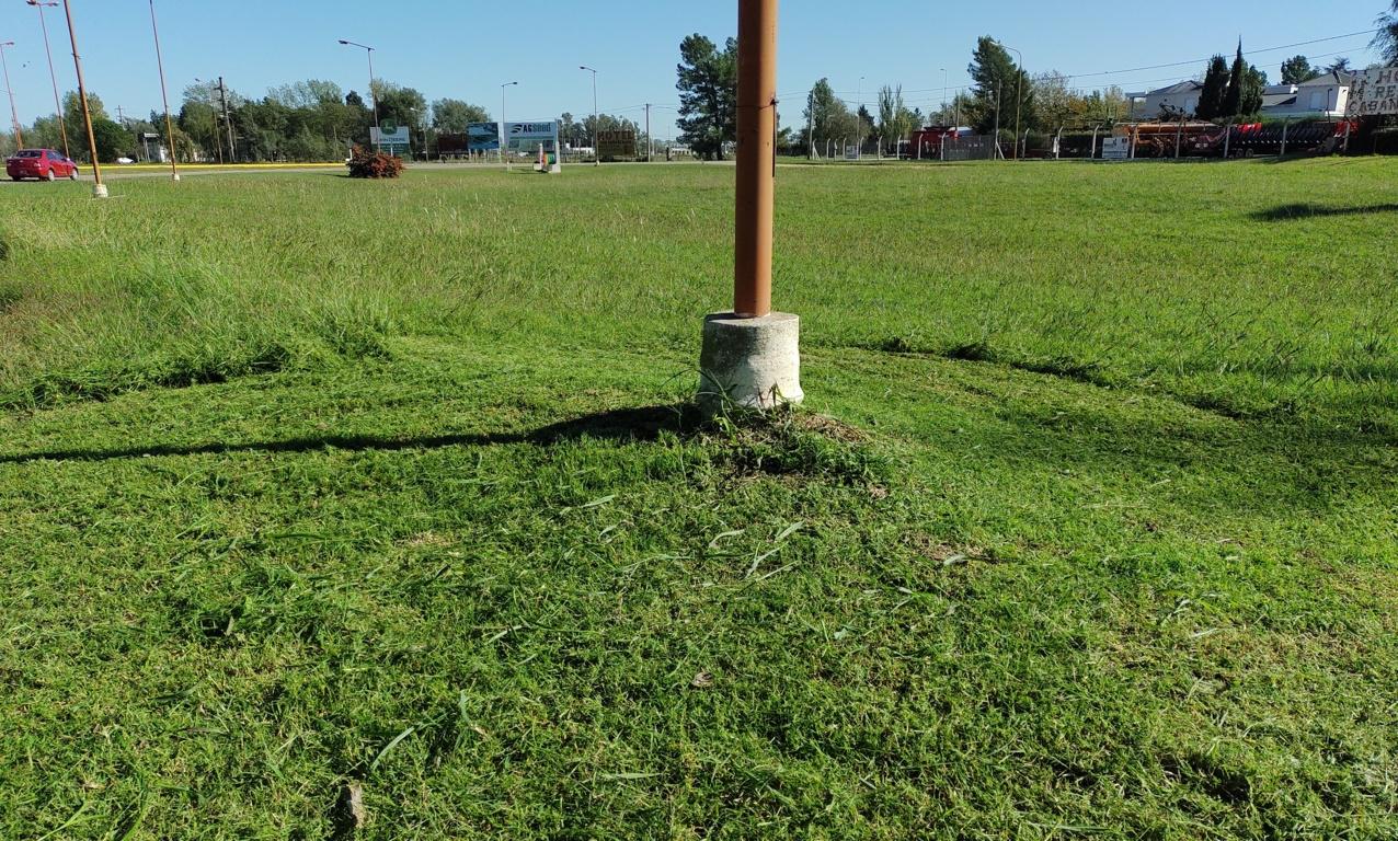 DESMALEZADO COLUMNA (FILEminimizer)