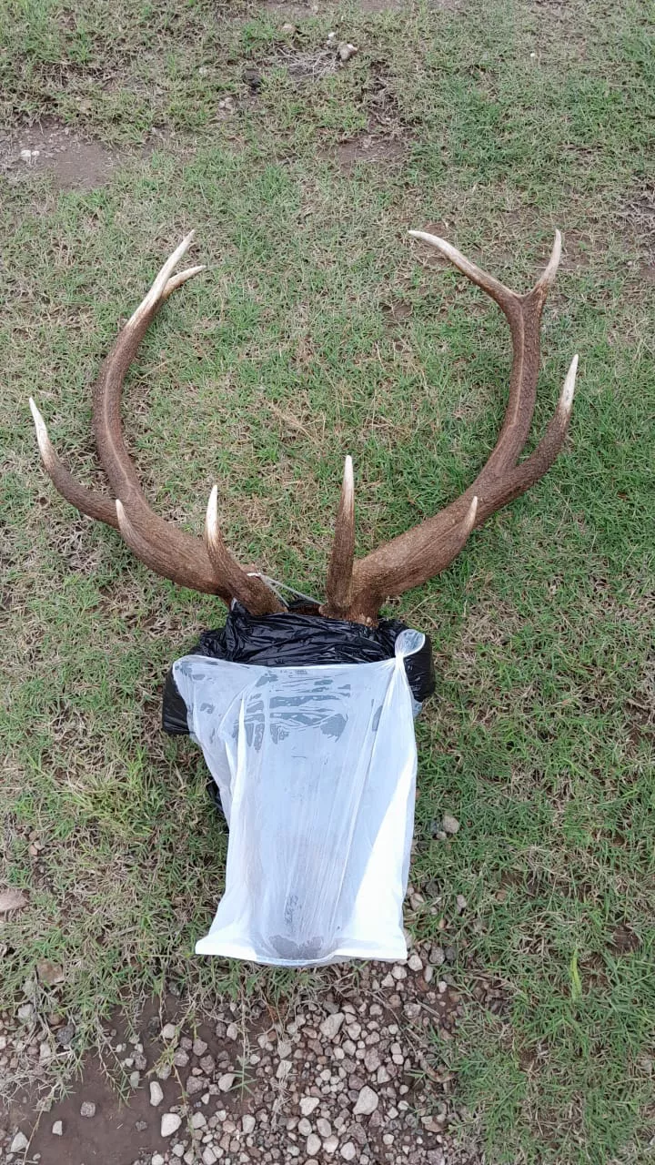 282500_whatsapp-image-2023-03-27-at-15.07.16--1-