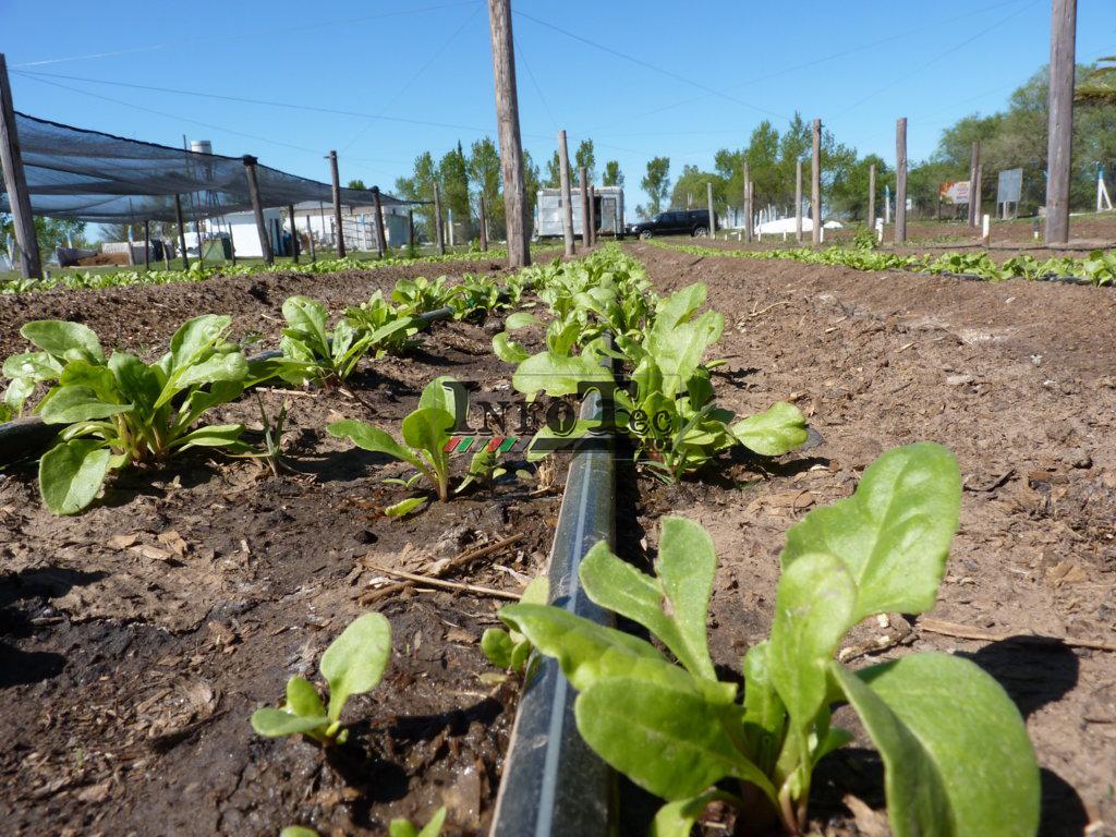 P1280318 (FILEminimizer)