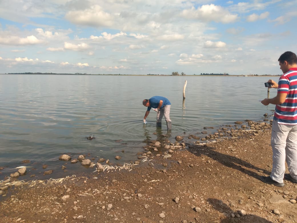 29a80691-69e0-4422-a8ea-be20f0827146