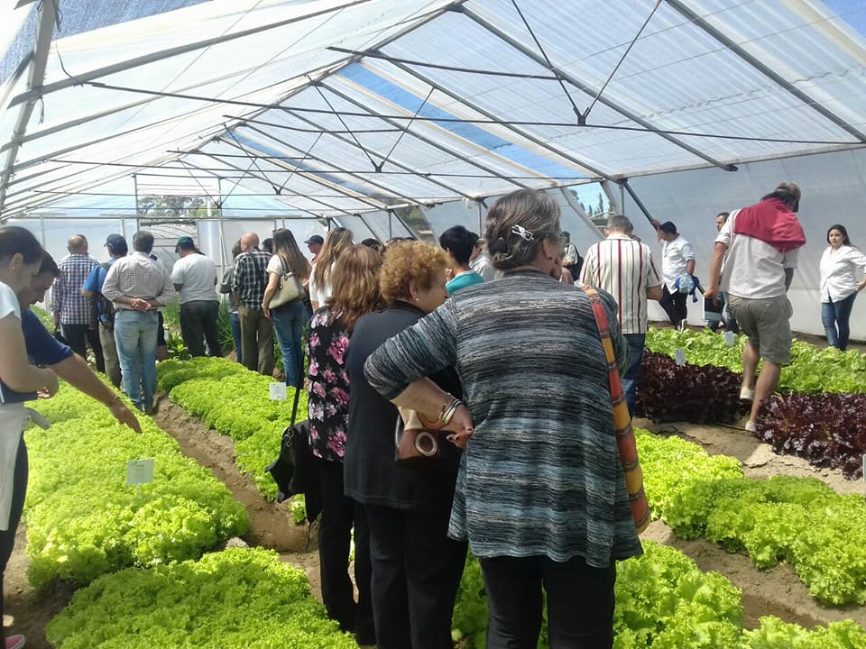 jornada-horticola-ceret-inta