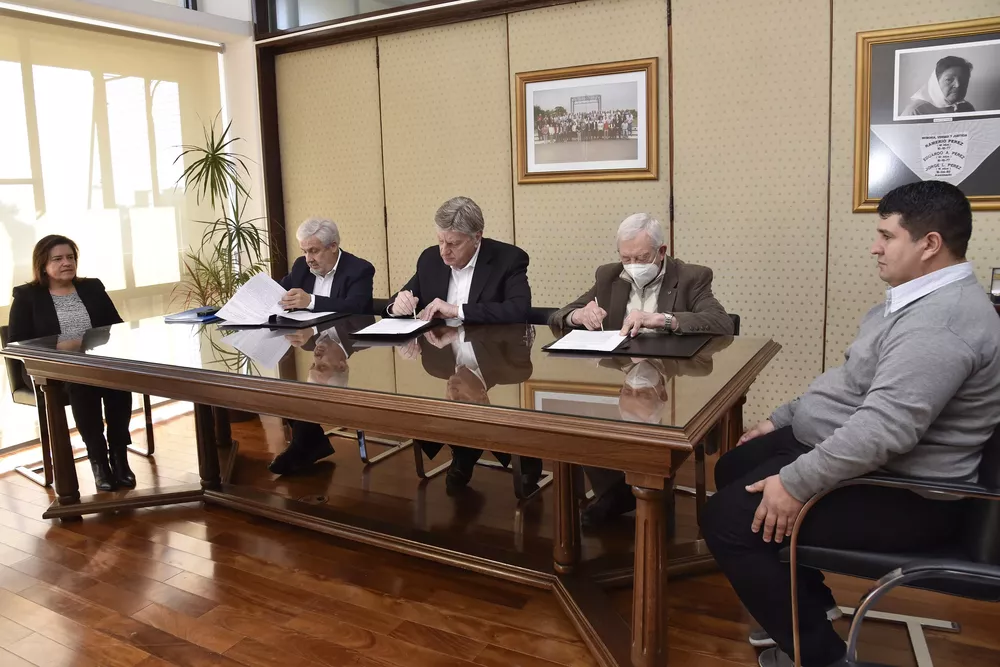 1718184__dsc8190-copia