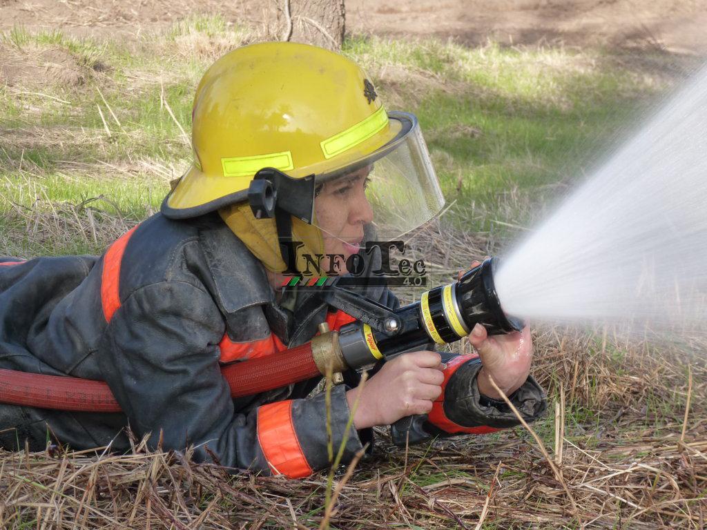 P1210605 (FILEminimizer)