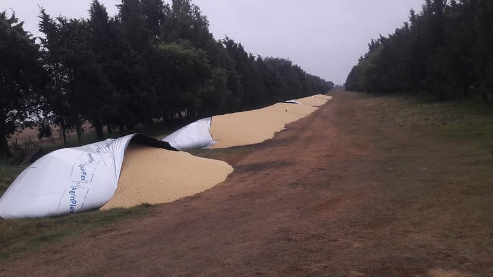 61406488_202154347425554_8451216116230914048_n