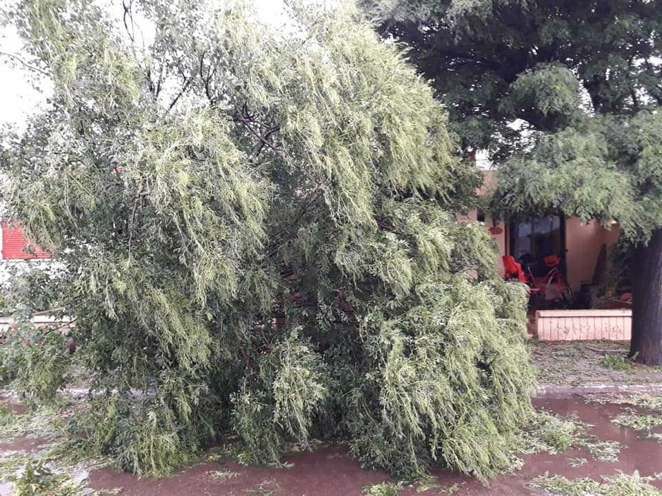 TORMENTA TESTA 2
