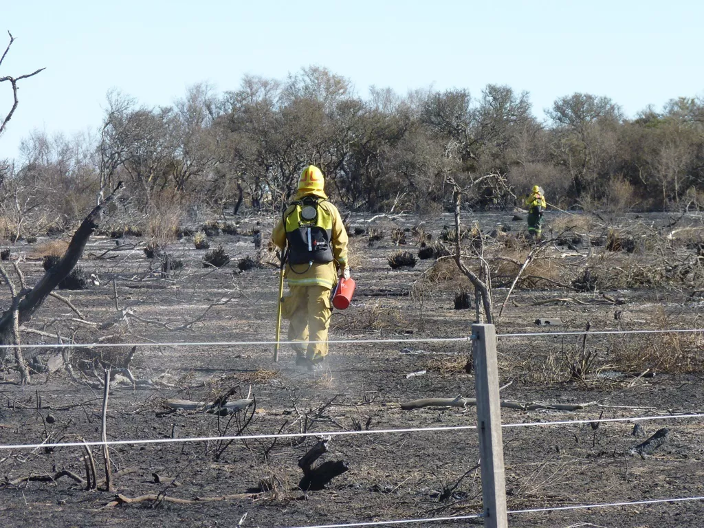 bomberos 3 (FILEminimizer)