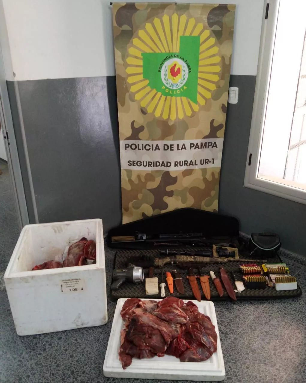 138313_apnb86974b2-6a41-44c5-a5d7-d285691b155a