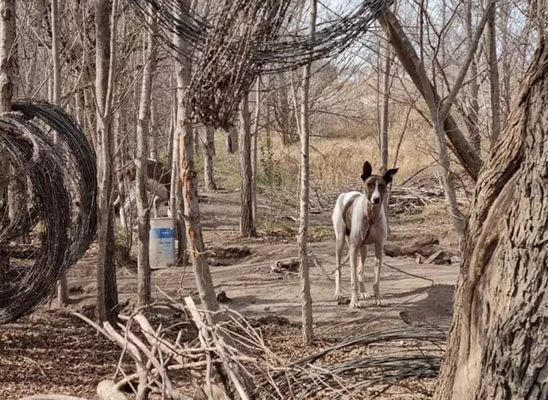 bbcb36c8-d18b-4368-96f7-1fc5eb0c5f3a