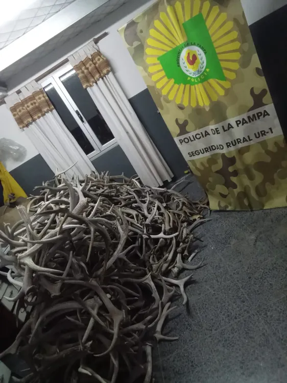 193596_whatsapp-image-2023-09-13-at-11.41.18--1-