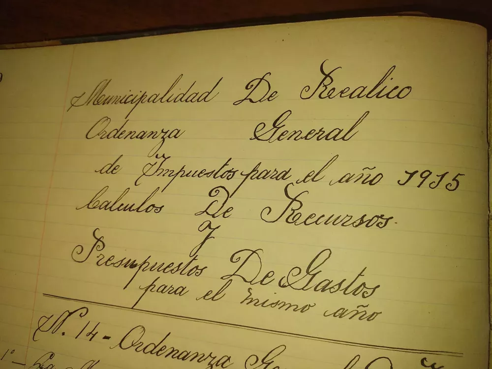 Primer Libro de Ordenanzas HCD REALICÓ 3