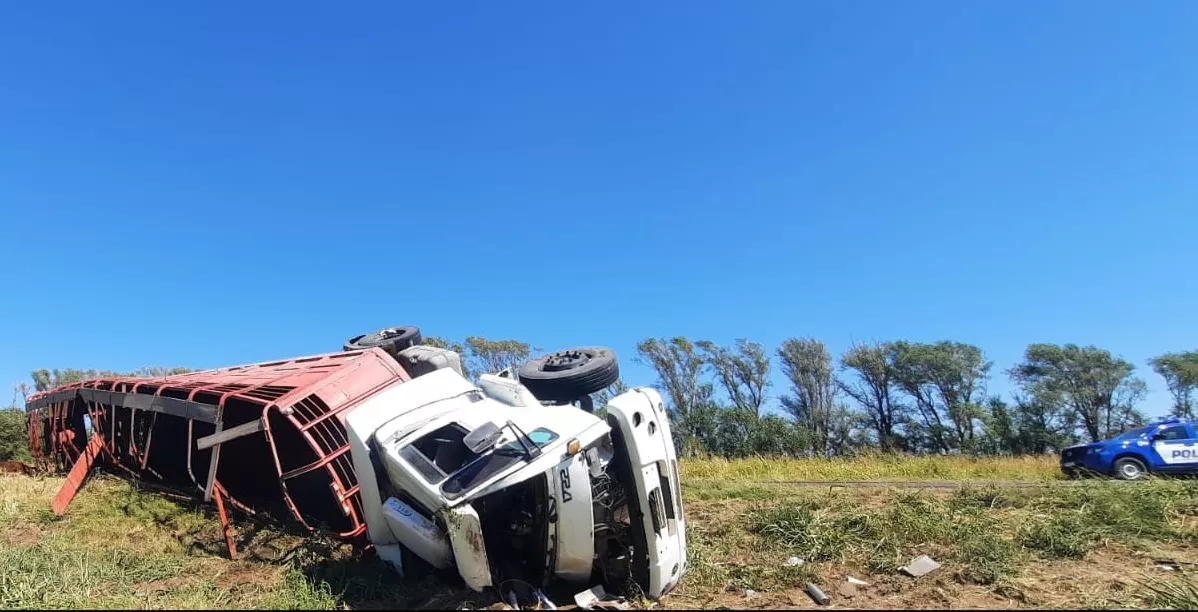 334017584_719593436525022_344182058360581753_n