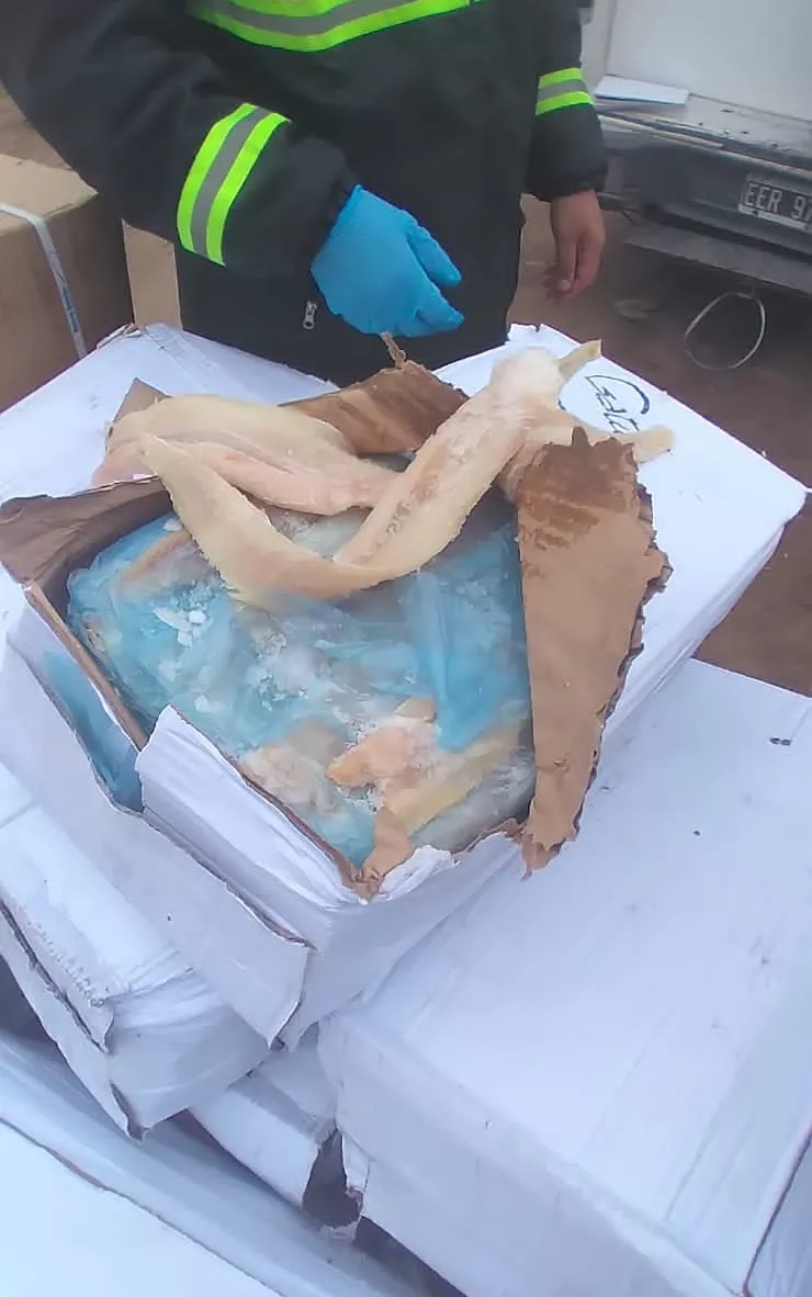 19d526a0-9573-4288-8444-6ed0abe2027d