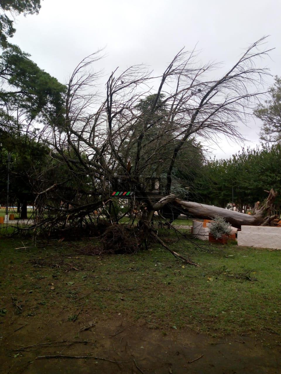 fdc98773-d349-41f5-ab5e-890aa925eb78