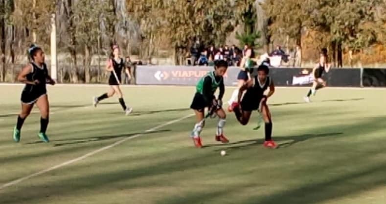 65520093_2523484544329869_6969890485775106048_n