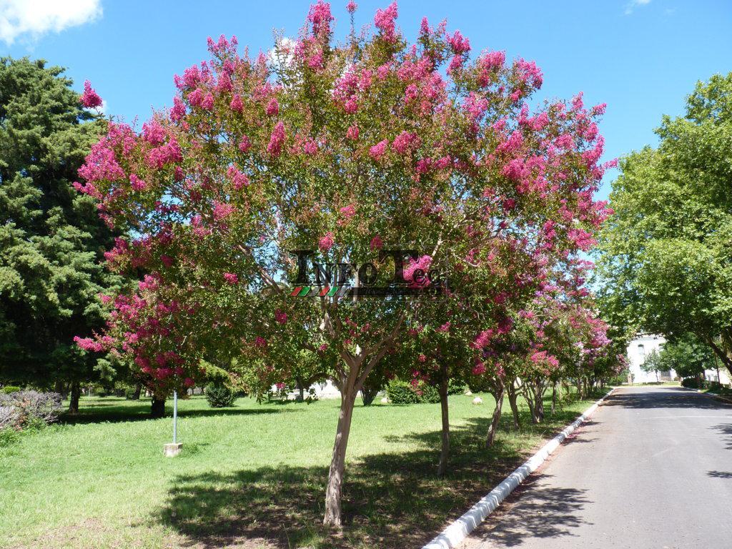 P1320978 (FILEminimizer)