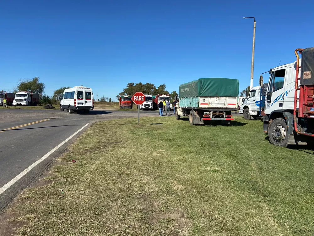 WhatsApp Image 2022-04-13 at 11.26.12 AM