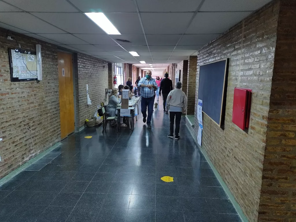 escuela 249 elecciones