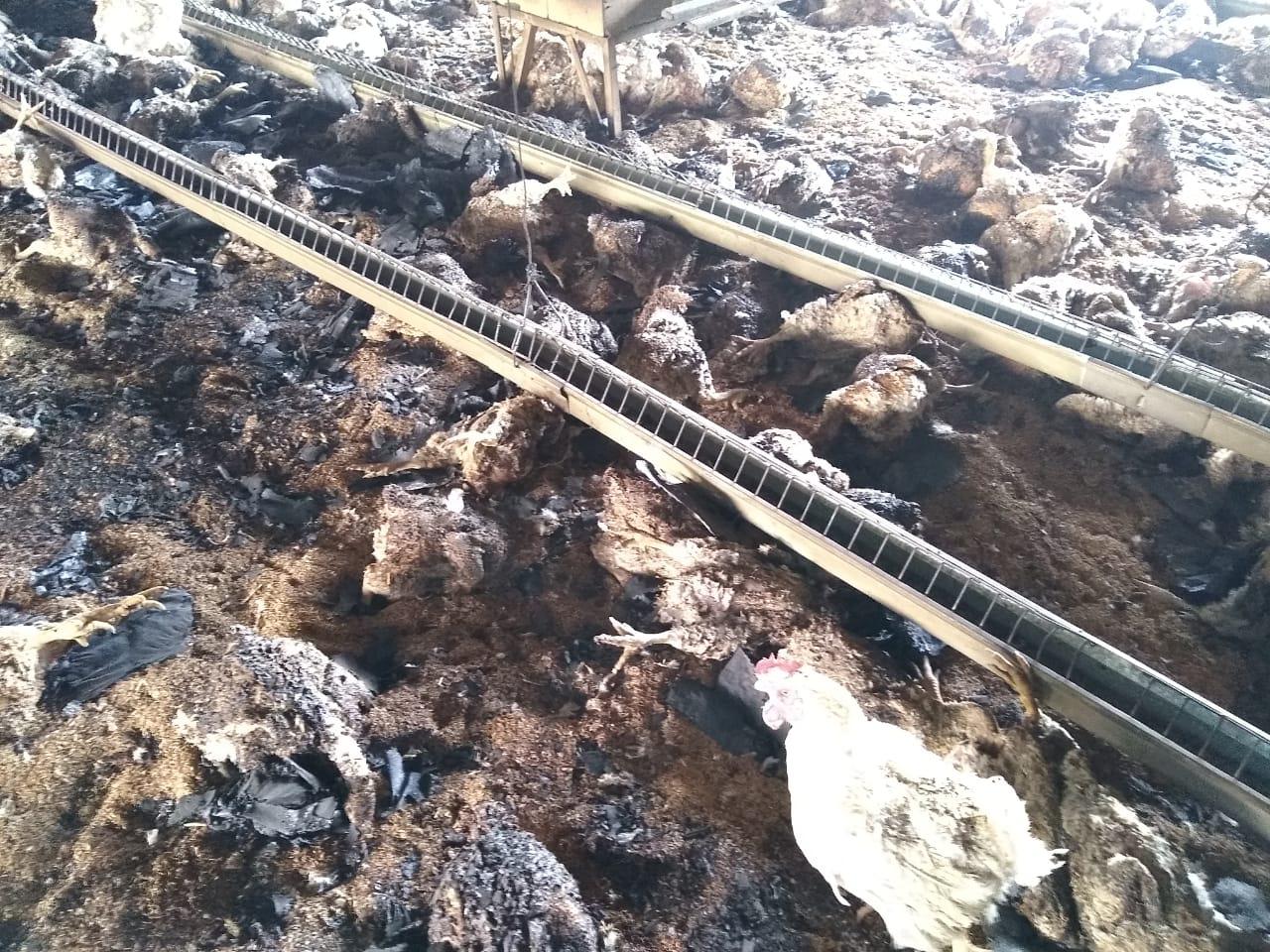 b078ea44-4a8a-4ff8-8b3c-b38d230633f7