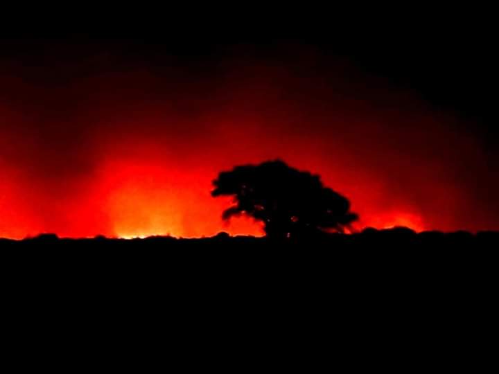 FB_IMG_1555153643179