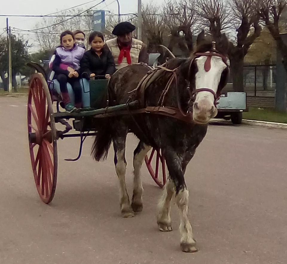 f8a12f65-1ca0-4aad-8273-37c09b766940