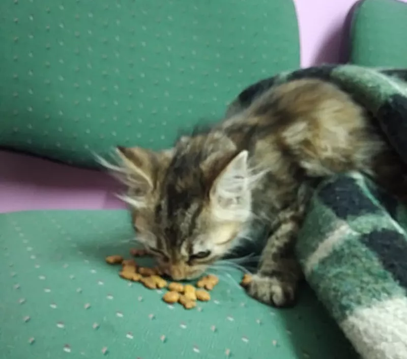 0c15a484-f13b-4733-841a-a1709e341983